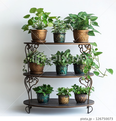 Elegant Metal Plant Stand with Decorative Pots and Green Foliage 126750073