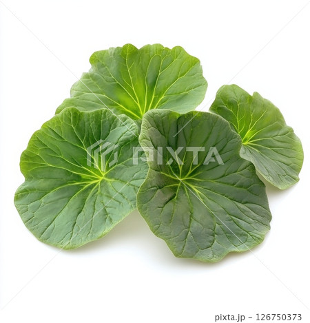 Fresh Green Spinach Leaves Isolated on White Background 126750373