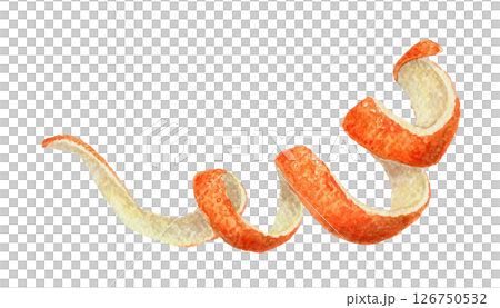 Twisted orange peel. Hand drawn watercolor food illustration of sweet fruit decor. Decorative citrus image with colorful realistic texture. Perfect for summer card template and cocktail menu design. 126750532