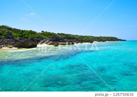 与論島 ヨロンブルー 与論島 ヨロンブルー 126750816