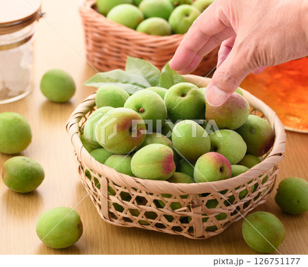 青梅 ( 紀州南高梅 ) 青梅 ( 紀州南高梅 ) 126751177