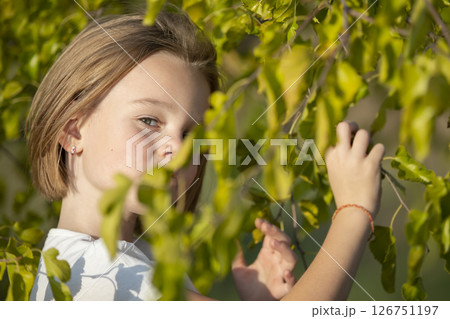 The little girl's face peeps out from the green leaves. The little girl's face peeps out from the green leaves. 126751197