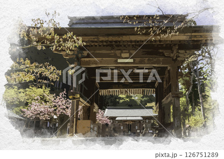 水彩画風　養父神社　随身門　兵庫県養父市 126751289