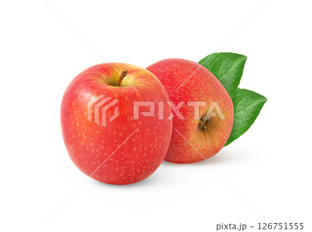 Two pink apples with leaf isolated. Red apple with leaves. 126751555