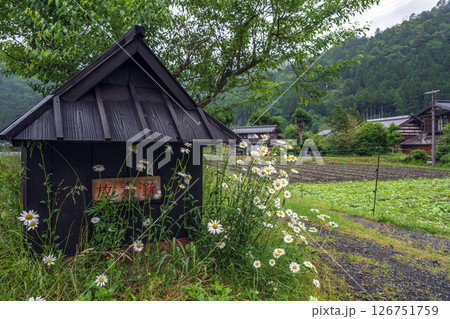 京都 美山かやぶきの里の風景 126751759