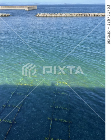 海の中を通る線路 126751763