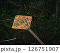 朽ちた保安林の看板と静かな森の気配 126751907