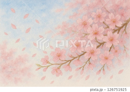 満開の桜・舞い散る花びら 126751925