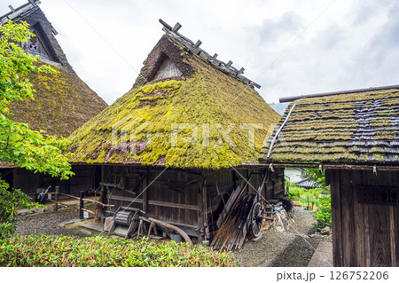 京都 美山かやぶきの里 苔むす茅葺き屋根 京都 美山かやぶきの里 苔むす茅葺き屋根 126752206
