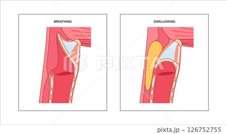 Breathing and swallowing Breathing and swallowing 126752755