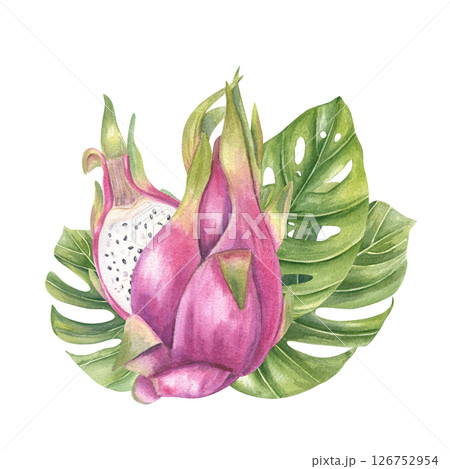 Hibiscus branch with vibrant pink blossoms watercolor illustration isolated background. Rose mallow for tropical wedding invitations, spa product packaging, greeting cards, textile pattern Hibiscus branch with vibrant pink blossoms watercolor illustration isolated background. Rose mallow for tropical wedding invitations, spa product packaging, greeting cards, textile pattern 126752954