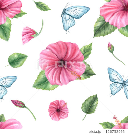 Pink hibiscus flowers, blue butterflies and green leaves watercolor seamless pattern isolated background. Floral ornate for wedding invitation, feminine fashion textile, cheerful home decor Pink hibiscus flowers, blue butterflies and green leaves watercolor seamless pattern isolated background. Floral ornate for wedding invitation, feminine fashion textile, cheerful home decor 126752963