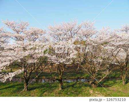 神林水辺の楽校【新潟県村上市】 126753210