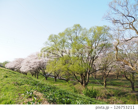 神林水辺の楽校【新潟県村上市】 神林水辺の楽校【新潟県村上市】 126753211