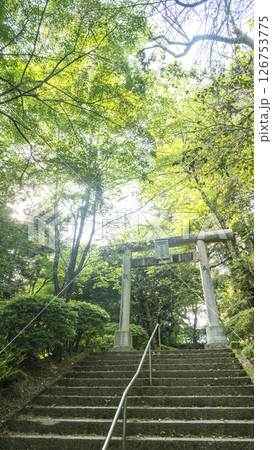 「遥かな町へ」の舞台を訪ねて　打吹公園 126753775