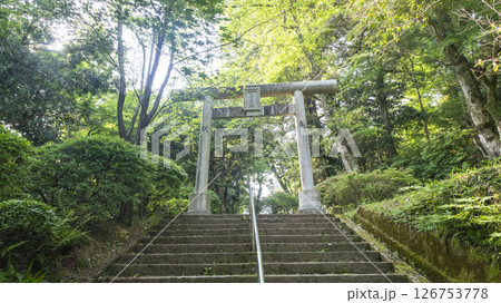 「遥かな町へ」の舞台を訪ねて 打吹公園 「遥かな町へ」の舞台を訪ねて 打吹公園 126753778
