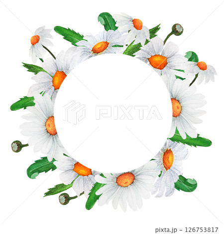 Watercolor round frame of chamomile and herbs. Design of greeting cards, invitations 126753817