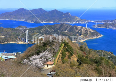 【愛媛県】桜咲く積善山から見た ゆめしま海道（岩城橋と生名橋） 126754211