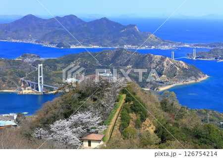 【愛媛県】桜咲く積善山から見た ゆめしま海道（岩城橋と生名橋） 126754214