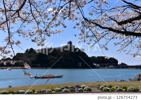 日本の愛知県の犬山市 春の犬山城と満開の桜 木曽川を進む遊覧船と美しい青空と花壇 日本の愛知県の犬山市 春の犬山城と満開の桜 木曽川を進む遊覧船と美しい青空と花壇 126754273