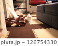 白猫 126754330