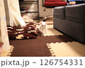 白猫 126754331