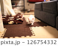 白猫 126754332