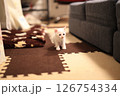 白猫 126754334