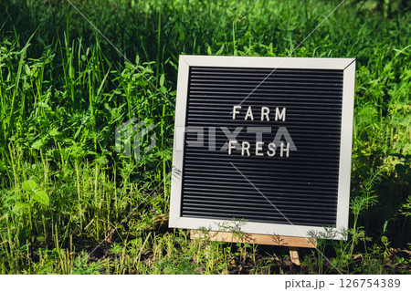 Letter board with text FARM FRESH on background of garden bed with green herb dill. Organic farming, produce local vegetables concept. Supporting local farmers 126754389
