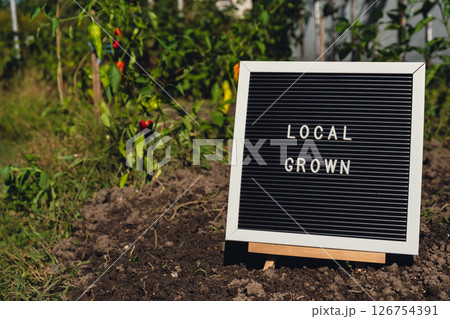 LOCAL GROWN message on background of fresh eco-friendly bio grown bell peppers in garden. Countryside food production concept. Locally produce harvesting. Sustainability 126754391