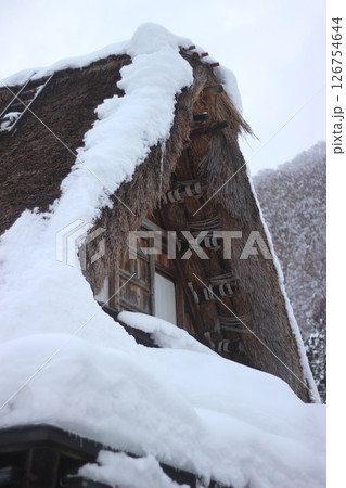 五箇山合掌造り 126754644