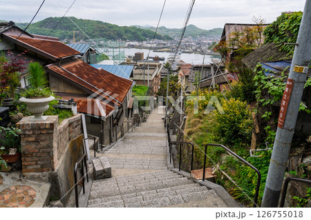 《広島県》尾道・坂の街の風景 126755018