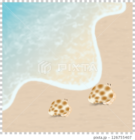海_波打ち際のヤドカリ 126755407