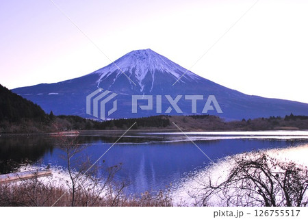 静岡県,田貫湖の朝 静岡県,田貫湖の朝 126755517
