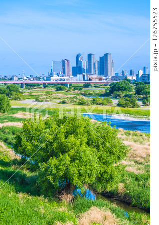 日本の東京都市景観5月28日…多摩川や川崎・武蔵小杉駅前のタワーマンション群など望む＝令和7年 126755523