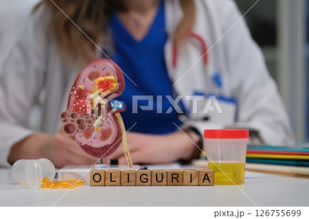 Understanding Oliguria in Kidney Function A Comprehensive Medical Perspective and Analysis 126755699