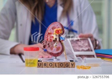 Comprehensive Urology Consultation featuring Kidney Model and Clinical Samples for Analysis 126755706