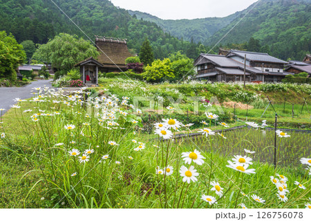 京都 美山かやぶきの里の風景 京都 美山かやぶきの里の風景 126756078