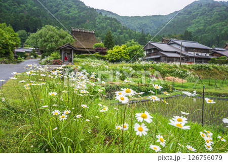 京都 美山かやぶきの里の風景 京都 美山かやぶきの里の風景 126756079