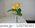 黄色い花　バラ 126756301