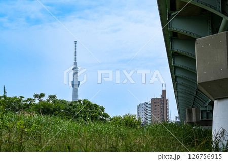 新四つ木橋とスカイツリー 126756915