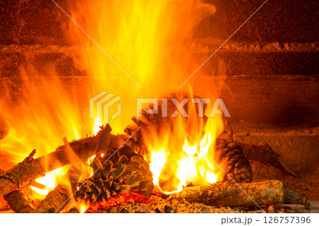burning firewood in chimney with pine cones 126757396