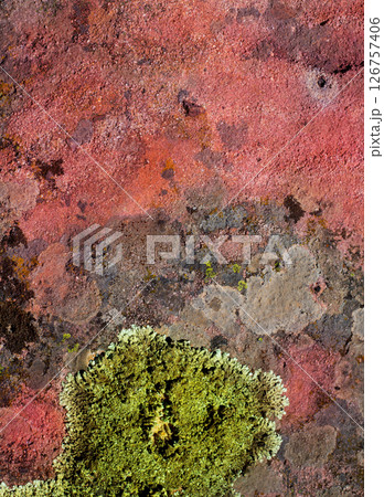 lichen green on red rock texture nature 126757406