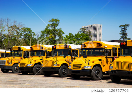 American typical school buses row in a parking lot American typical school buses row in a parking lot 126757703