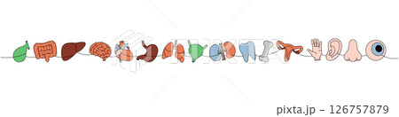 Set of human organs one line colored continuous drawing. Heart, kidneys, hand, nose, bone, bladder, gallbladder, intestines, tooth Set of human organs one line colored continuous drawing. Heart, kidneys, hand, nose, bone, bladder, gallbladder, intestines, tooth 126757879