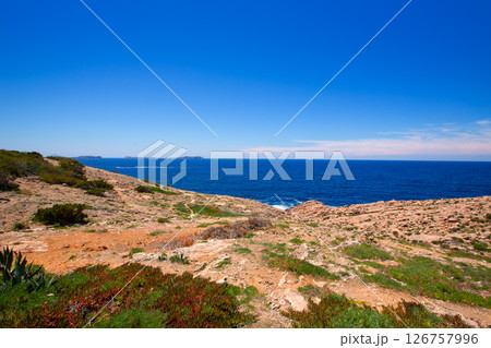 Ibiza Satorre in San Antonio Abad mediterranean view Ibiza Satorre in San Antonio Abad mediterranean view 126757996
