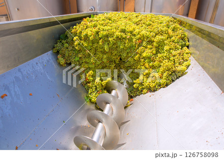 chardonnay corkscrew crusher destemmer in winemaking chardonnay corkscrew crusher destemmer in winemaking 126758098