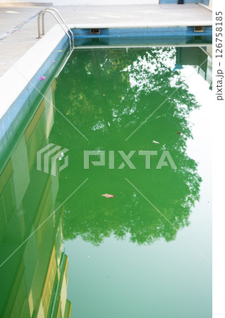 Swimming pool with dirty green water close-up. Swimming pool with dirty green water close-up. 126758185