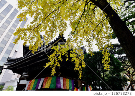 秋の六角堂 126758278