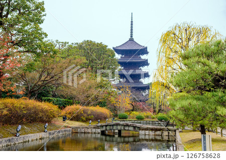 東寺五重塔と紅葉 東寺五重塔と紅葉 126758628